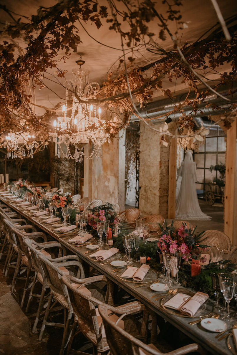 Marmarina elige enero-Options01